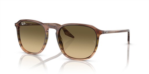 Ray-Ban RB2203 L (55 - 20) with Brown lenses and Brown frame Sunglasses