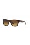 Ray-Ban RB4194 L (53 - 17) with Brown lenses and Tortoise frame Sunglasses