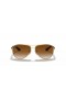 Ray-Ban RB8313 Carbon Fibre XL (61 - 13) with Brown lenses and Gold frame Sunglasses