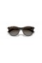 Ray-Ban RB9082S Kids L (47 - 17) with Grey lenses and Tortoise frame Sunglasses