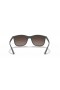 Ray-Ban RB4330CH Chromance XL (56 - 17) with Silver lenses and Grey frame Sunglasses