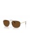 Ray-Ban RB3754 XXL (60 - 19) with Brown lenses and Havana frame Sunglasses