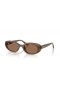 Ray-Ban RB4441D Bio-Based L (53 - 21) with Brown lenses and Brown frame Sunglasses