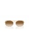 Ray-Ban RB3719 L (54 - 20) with Brown lenses and Gold frame Sunglasses