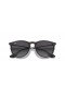 Ray-Ban RB4171F Erika Classic XL (57 - 18) with Grey lenses and Black frame Sunglasses