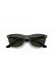 Ray-Ban RB4195 Wayfarer Liteforce L (52 - 20) with Green lenses and Black frame Sunglasses
