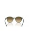 Ray-Ban RB2230F Bernard M (51 - 20) with Brown lenses and Green frame Sunglasses