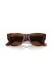 Ray-Ban RB0840SF Mega Wayfarer L (52 - 21) with Brown lenses and Brown frame Sunglasses