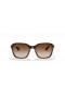 Ray-Ban RB4343M Scuderia Ferrari Collection M (52 - 20) with Brown lenses and Tortoise frame Sunglasses
