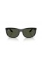 Ray-Ban RB2389F Balorette XL (60 - 19) with Green lenses and Black frame Sunglasses