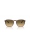 Ray-Ban RB2203 L (55 - 20) with Brown lenses and Brown frame Sunglasses