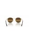Ray-Ban RB3447 Round Metal Chromance S (50 - 21) with Brown lenses and Gold frame Sunglasses