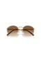 Ray-Ban RB3637 New Round M (53 - 21) with Brown lenses and Gold frame Sunglasses
