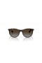 Ray-Ban RB9082S Kids L (47 - 17) with Grey lenses and Tortoise frame Sunglasses