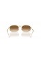 Ray-Ban RB3719 L (54 - 20) with Brown lenses and Gold frame Sunglasses