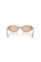 Ray-Ban RB4441D Bio-Based L (53 - 21) with Brown lenses and Brown frame Sunglasses