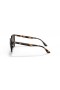 Ray-Ban RB4378 S (54 - 16) with Brown lenses and Tortoise frame Sunglasses