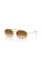 Ray-Ban RB3719 L (54 - 20) with Brown lenses and Gold frame Sunglasses