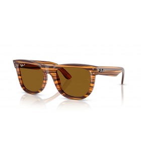 Ray-Ban RBR0502S Wayfarer Reverse S (50 - 22) with Brown lenses and Brown frame Sunglasses