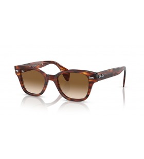 Ray-Ban RB0880S L (52 - 19) with Brown lenses and Brown frame Sunglasses