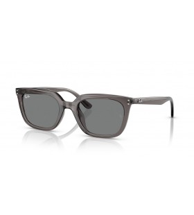 Ray-Ban RB4439D L (54 - 21) with Grey lenses and Grey frame Sunglasses