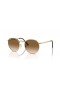 Ray-Ban RB3637 Nova Rodada XS (50 - 21) com lentes Marrom e Ouro armação Óculos de sol