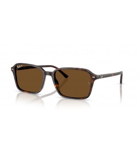 Ray-Ban RB2231F Raimond L (56 - 18) com lentes Marrom e Tartaruga armação Óculos de sol