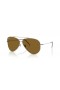 Ray-Ban RBR0101S the Aviator Droim ar ais XXL (62 - 11) le lionsaí Donn agus Óir fráma Sunglasses