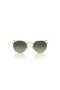 Ray-Ban RB3447 Bhabhta Miotail XS (47 - 21) le Glas lionsaí agus Óir fráma Sunglasses