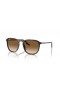 Ray-Ban RB2203 M (52 - 20) le lionsaí Donn agus Turtar fráma Sunglasses