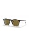 Ray-Ban RB4387F M (55 - 18) le lionsaí Donn agus Turtar fráma Sunglasses