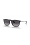 Ray-Ban RB4171 Erika Clasaiceach M (54 - 18) le lionsaí Liath agus Dubh fráma Sunglasses
