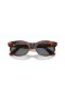 Ray-Ban RB2242 Wayfarer Oval L (53 - 22) le lionsaí Gorm agus Donn fráma Sunglasses
