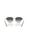 Ray-Ban RB4429 XXL (55 - 20) le lionsaí Liath agus Liath fráma Sunglasses