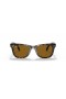 Ray-Ban RB4105 Folding Wayfarer Clasaiceach L (50 - 22) le lionsaí Donn agus Turtar fráma Sunglasses