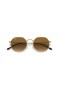 Ray-Ban RB3565 Jack L (53 - 20) le lionsaí Donn agus Óir fráma Sunglasses
