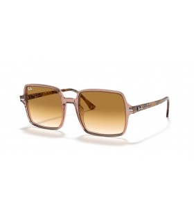 Ray-Ban RB1973 Cearnach II L (53 - 20) le lionsaÃ­ Donn agus Donn frÃ¡ma Sunglasses