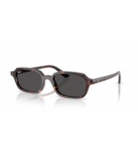 Ray-Ban RB4455 Zuri Bith-Bhunaithe S (49 - 19) le lionsaí Liath agus Turtar fráma Sunglasses