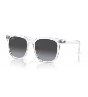 Ray-Ban RB4401D XXL (57 - 20) le lionsaí Liath agus fráma Trédhearcach Sunglasses