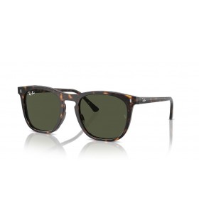 Ray-Ban RB2210 L (53 - 21) le Glas lionsaí agus Turtar fráma Sunglasses