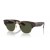 Ray-Ban RB0316S Mega Clubmaster XL (53 - 21) le Glas lionsaÃ­ agus Turtar frÃ¡ma Sunglasses