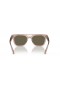 Ray-Ban RB4426 Phil Bio a Base di L (54 - 21) con lenti Marrone e Marrone frame Occhiali da sole