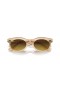 Ray-Ban RB2242 Wayfarer Ovale Cambiare L (53 - 22) con lenti Marrone e Marrone frame Occhiali da sole