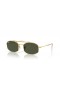 Ray-Ban RB3719 M (51 - 20) con lenti Verdi e Oro frame Occhiali da sole
