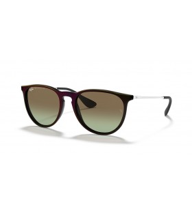 Ray-Ban RB4171 Erika Classico M (54 - 18) con lenti Verde e telaio Nero Occhiali da sole