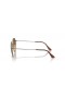 Ray-Ban RB8165 Jack Titanium S (51 - 20) med Brune linser og Gull frame Solbriller
