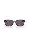Ray-Ban RB4461D L (64 - 17) med Fiolett linser og Brown frame Solbriller