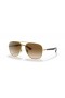 Ray-Ban RB3683 L (56 - 15) med Brune linser og Gull frame Solbriller