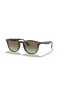 Ray-Ban RB4259 M (51 - 20) med Brune linser og Tortoise frame Solbriller