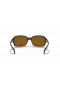 Ray-Ban RB4068 M (60 - 17) med Brune linser og Tortoise frame Solbriller